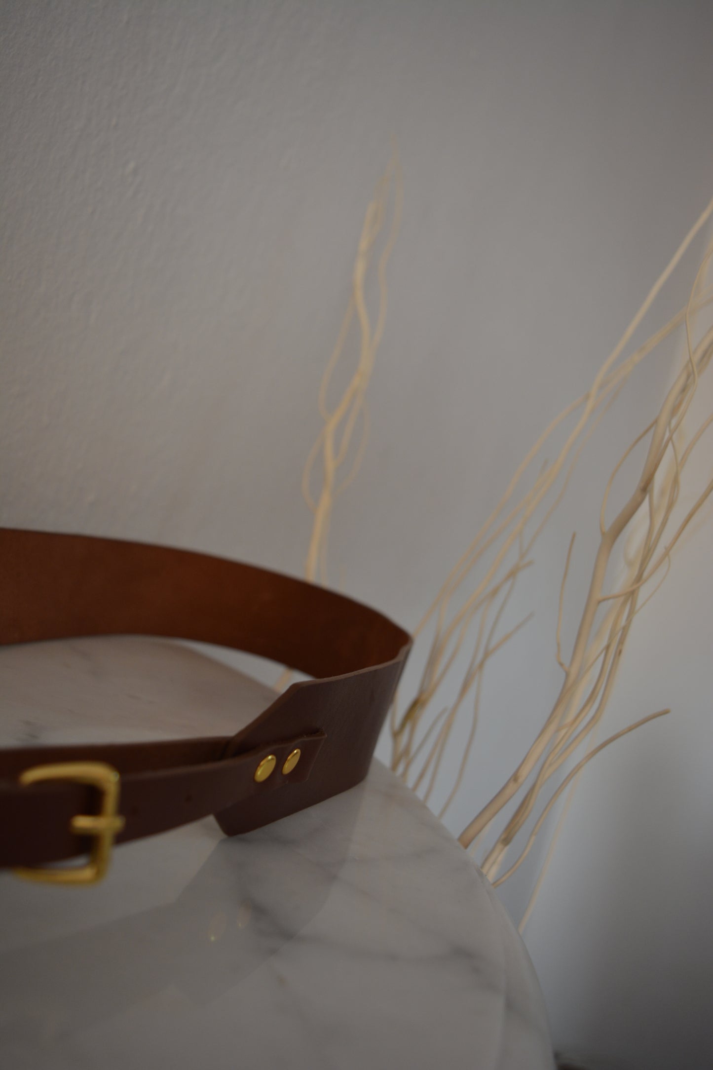 Camera Strap