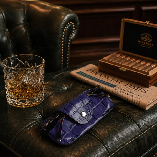 Aura Eyewear Case