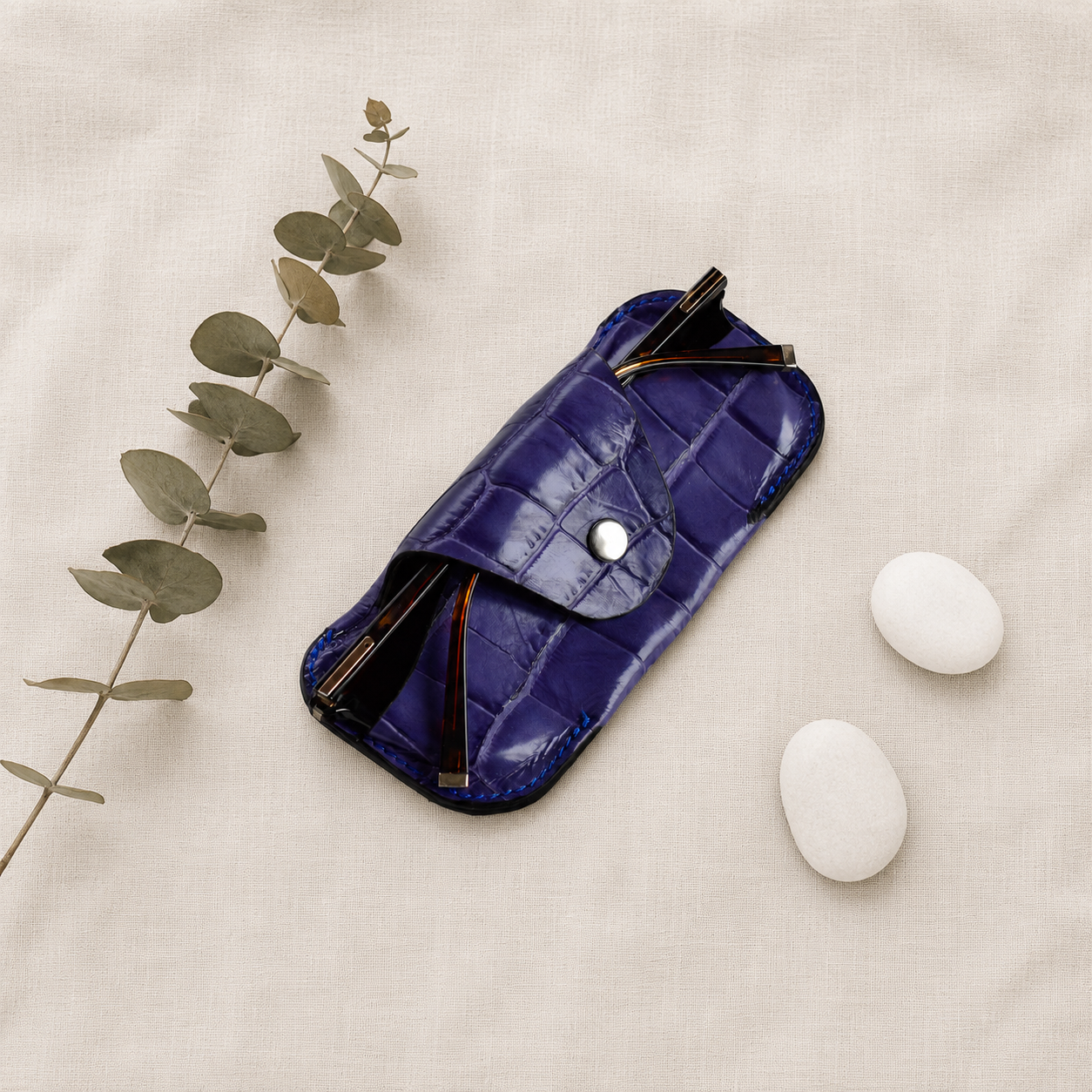 Aura Eyewear Case