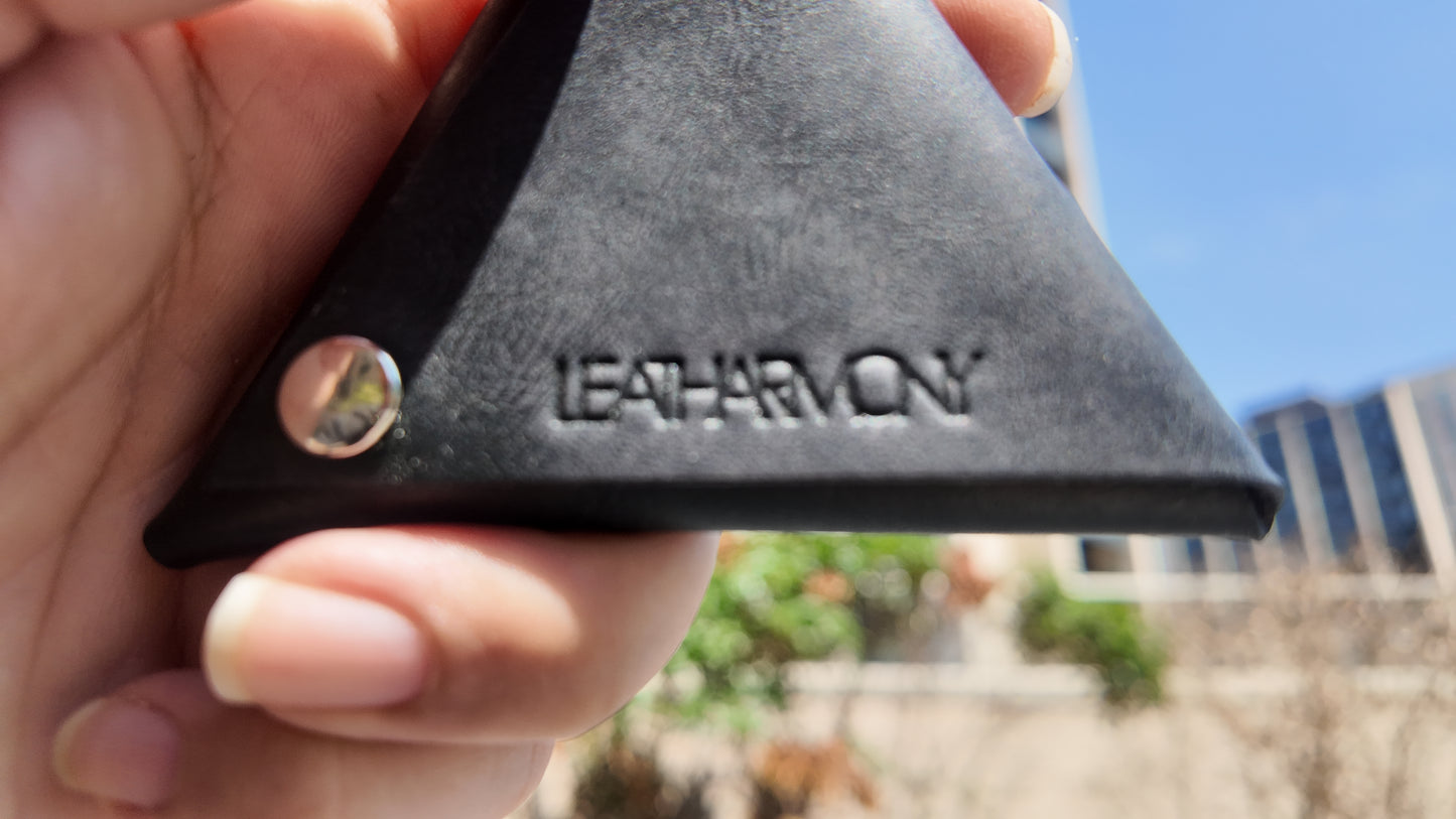 Delta Coin Pouch